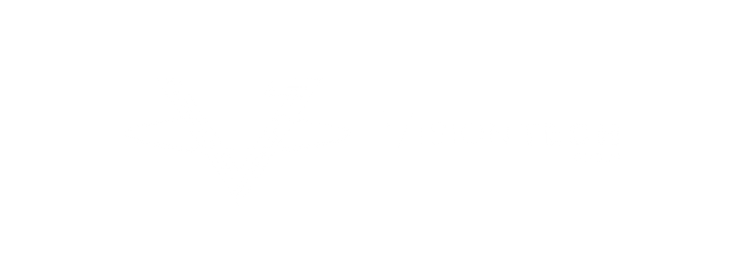 Vision Tech Group
